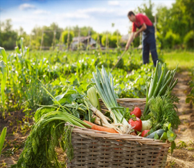 Agriculture & Food Processing